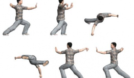 太极拳漫画,动静之间，探寻中华武术之魂